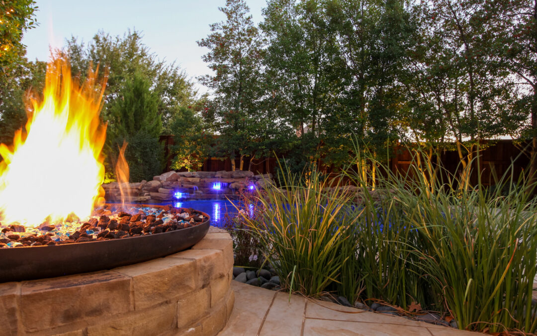 The Firelight Lagoon Project